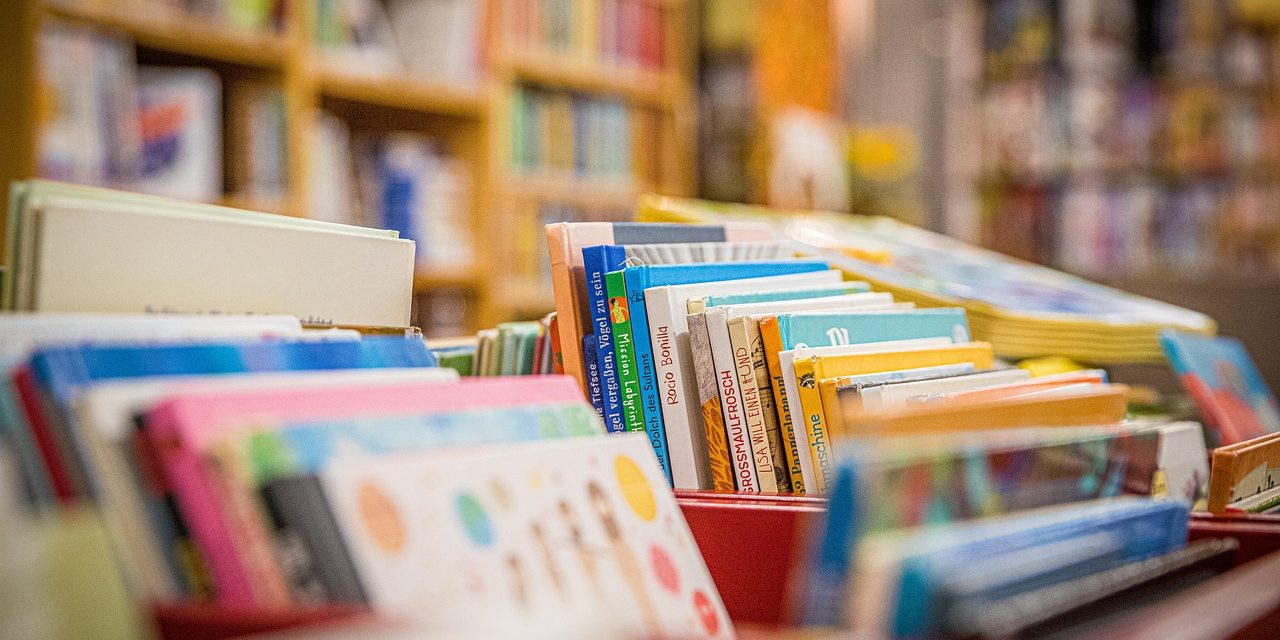 La Bibliothèque de Francheleins prend forme !