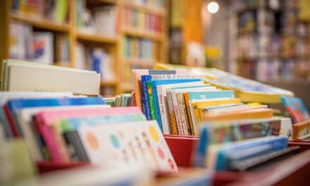 La Bibliothèque de Francheleins prend forme !