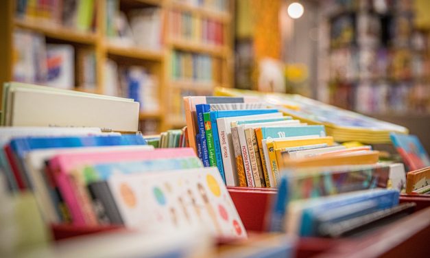 La Bibliothèque de Francheleins prend forme !